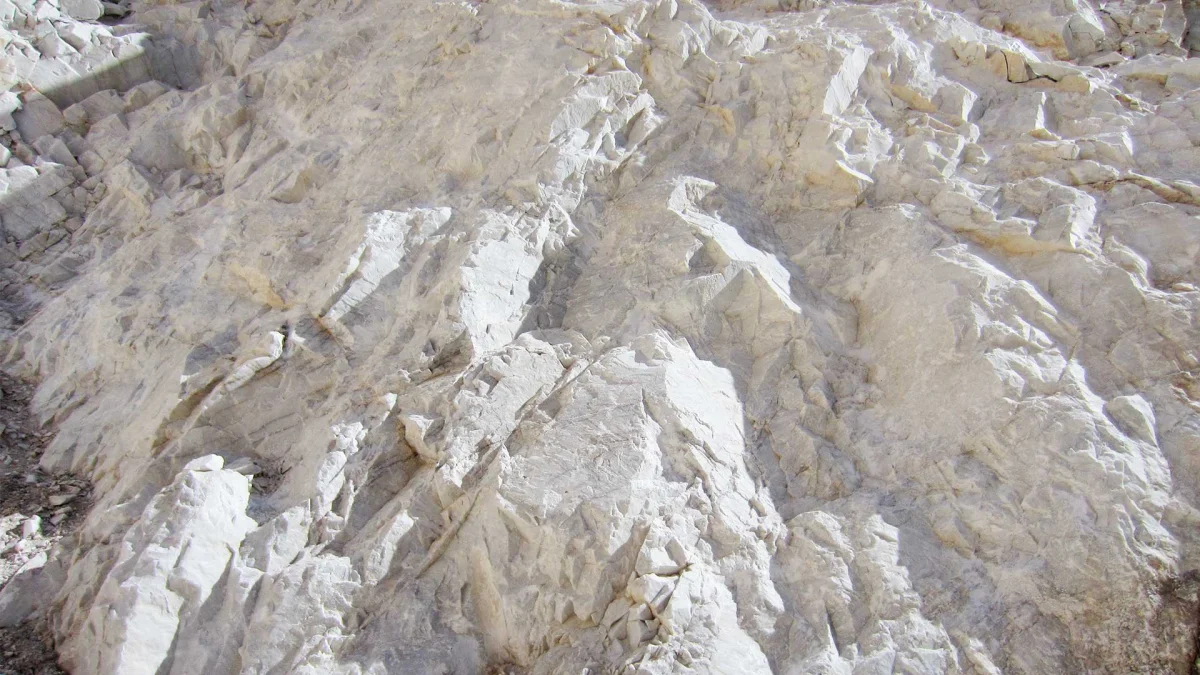 ARTINCARB facility photo 2